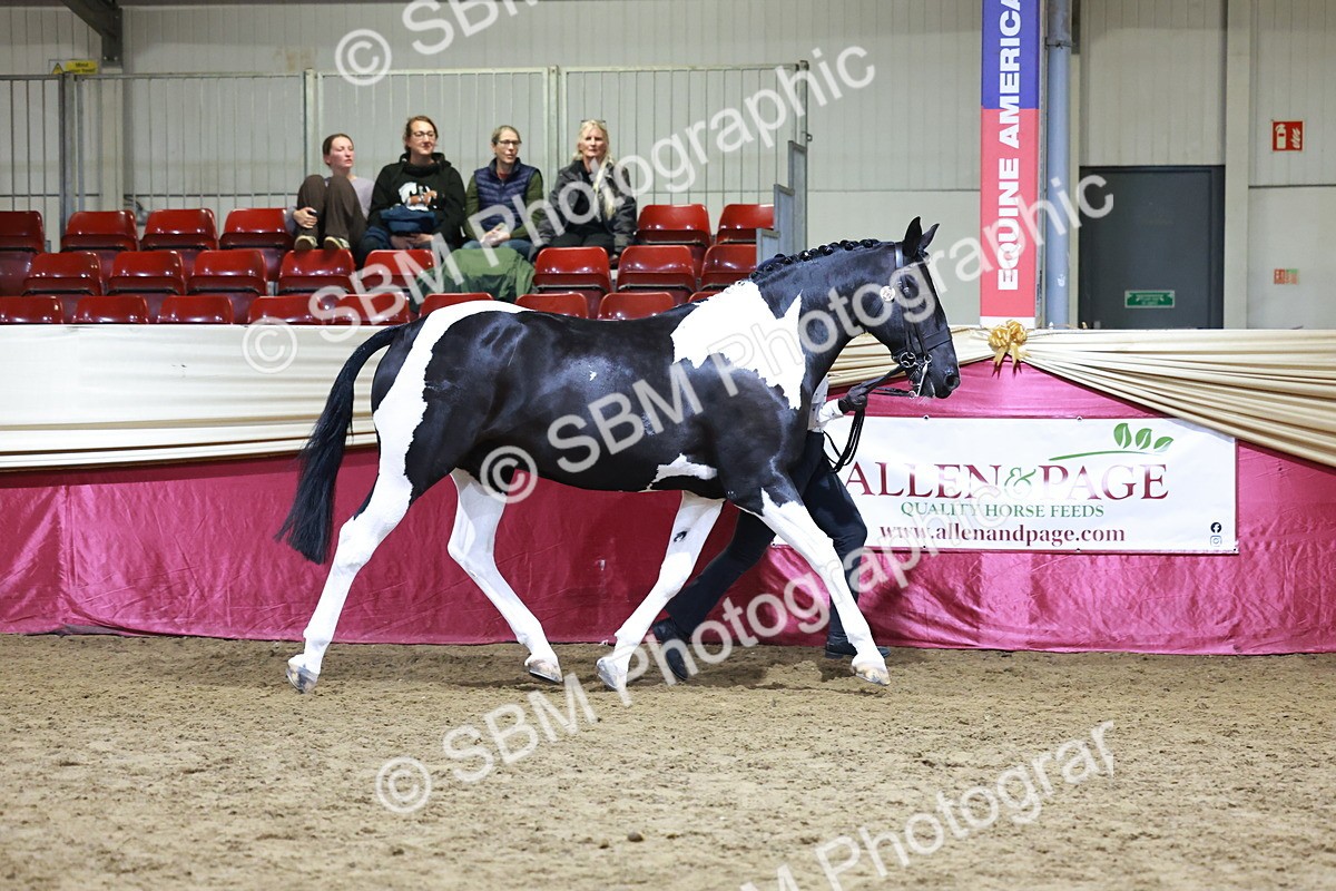 SBM_20821 - Class L - Coloured Champ