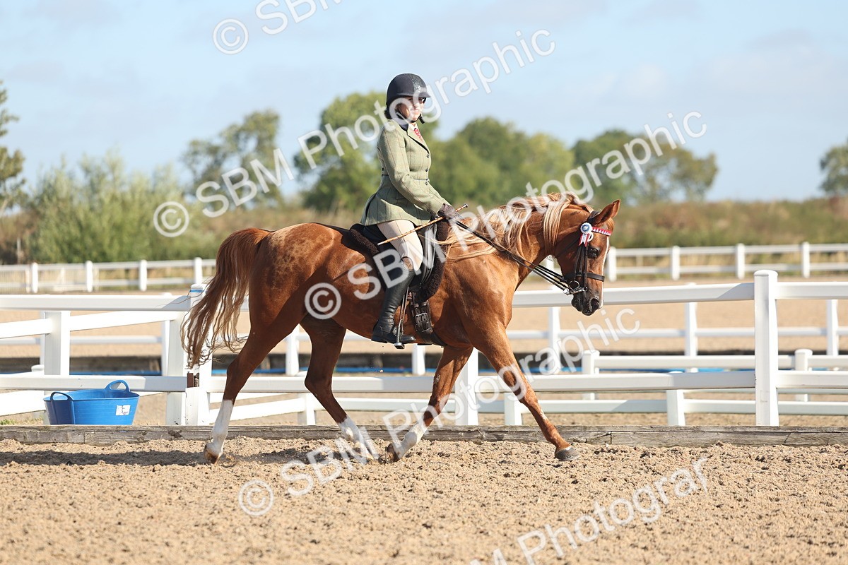 SBM_22278 - Class 803 - Ridden Combination 65+