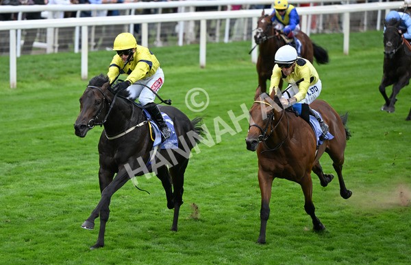 220825-108 Lifeplan - Race 3 3.00pm Al Basti Equiworld Dubai Gimcrack Stakes