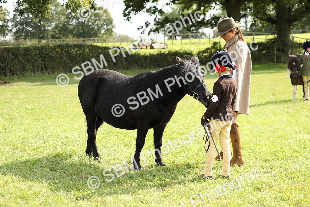 SBM_67760 - S39 - Junior Handler 8  Years & Under