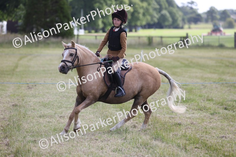 20260614-0462 - Class 20 - Beginners Working Hunter Pony