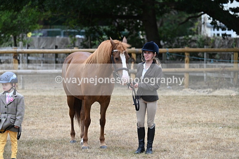 WJ7_8102 - Class 4 Prettiest Mare up to 14.2hh
