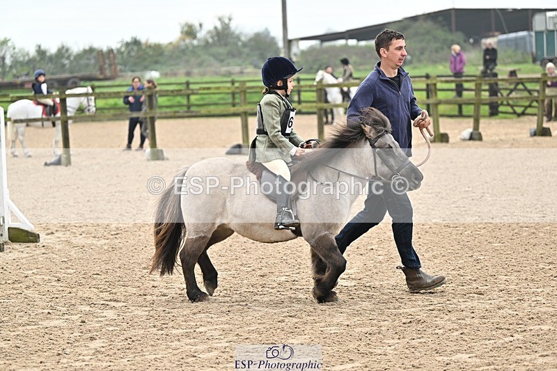 241110-102213-00271 - 40cm Showjumping