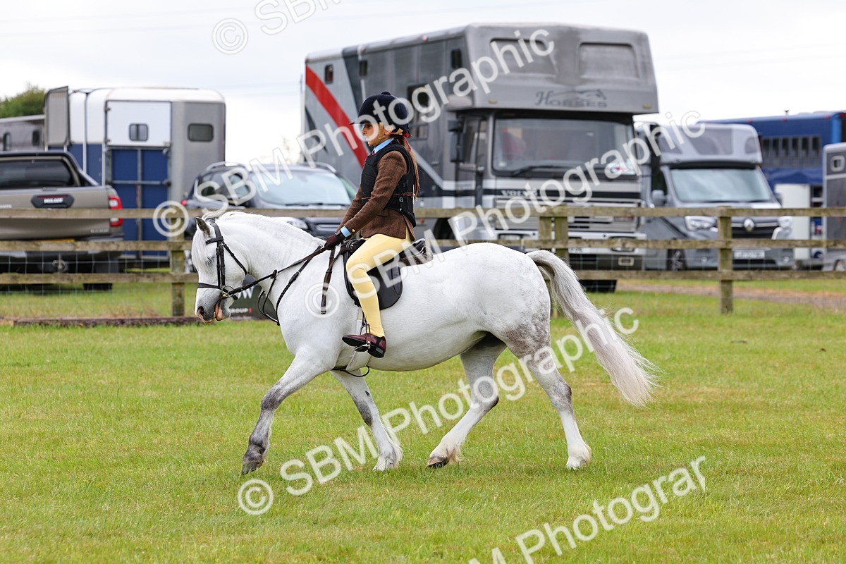 SBM_08698 - Class 42-43 - LIHS BSPS Heritage Working Sports Pony