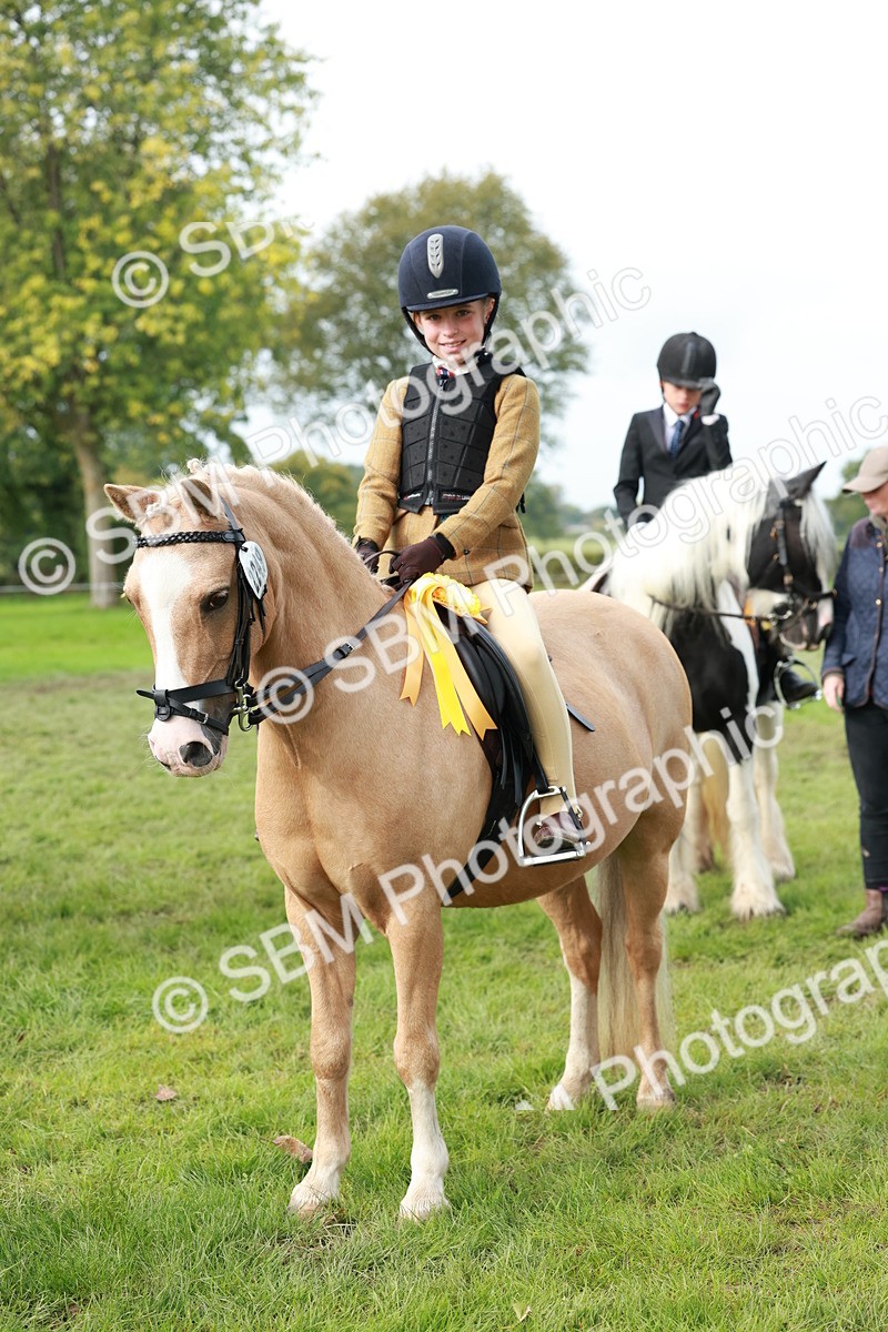 SBM_56475 - S39 - Starters In Hand Showing