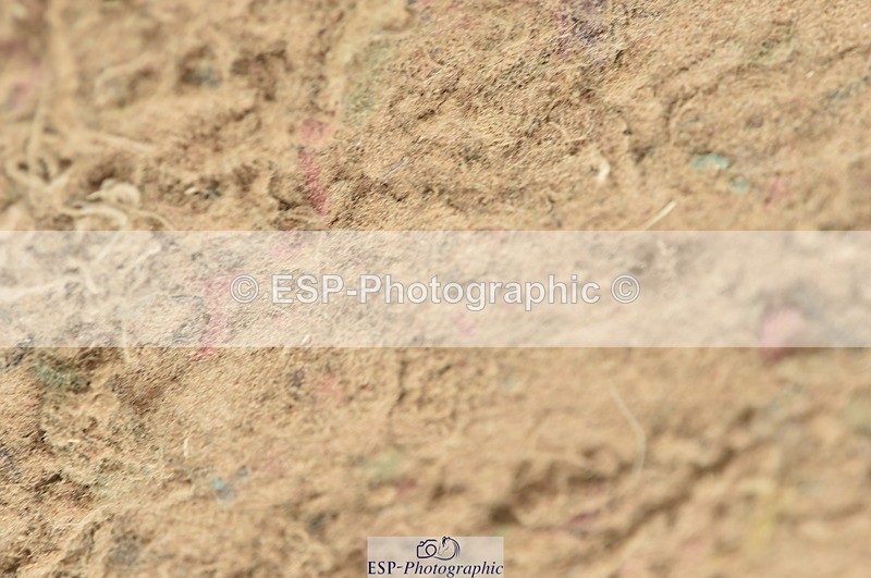 230611A-142332-06288 - Cls 36 Newcomers