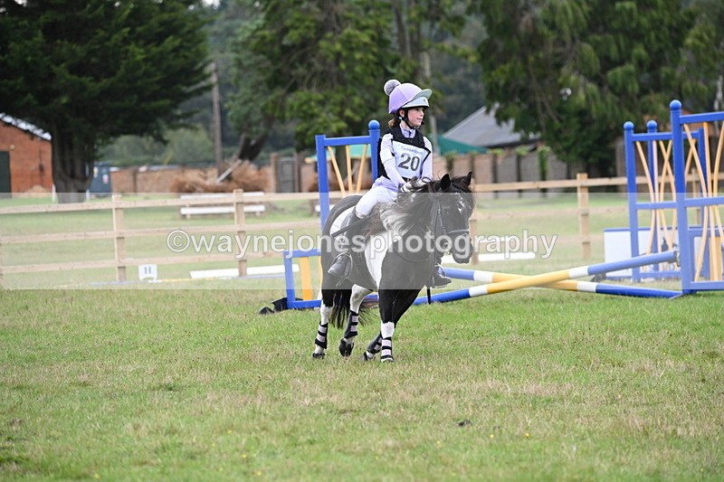 WJ6_0366 - 40cm Time 10:00 to 10:28