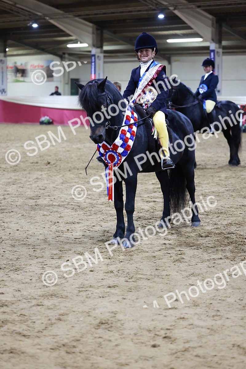 SBM_21392 - Class T - Working Veteran Champs