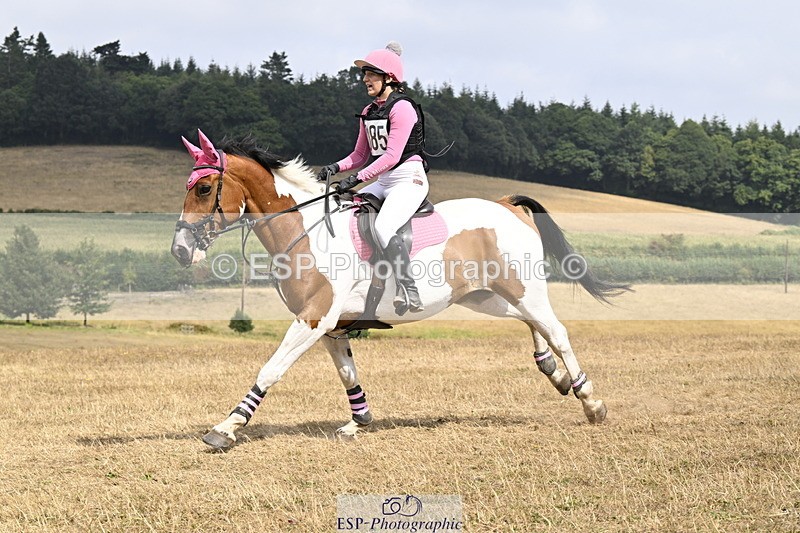 250824A-130614-36783 - 2010-Freya.Hallam-Deakin-Tommy