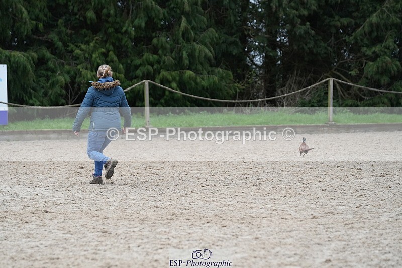 260301A-122145-02041 - NSEA 90-95cm