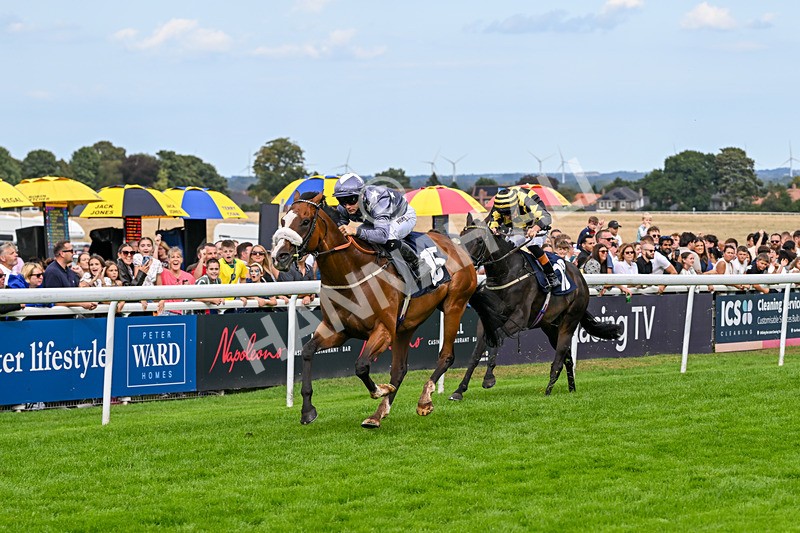 300826-Race 5-Harb-1116 - Race 5 3.55pm Constant Security Handicap
