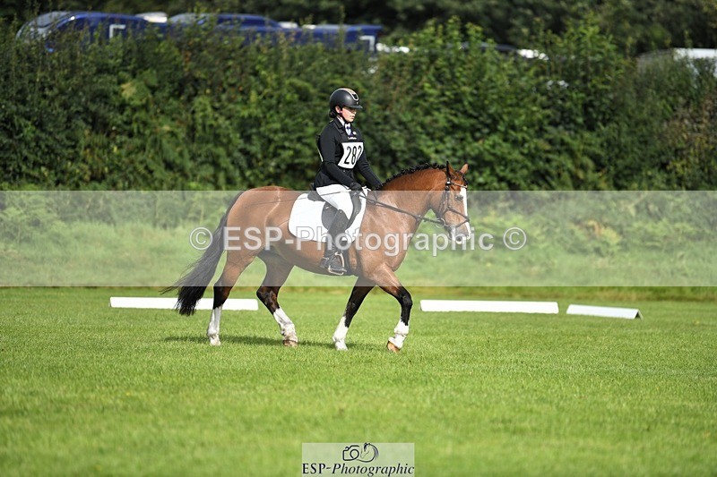 230826-094653-15227 - Sections C & D 9 to 10am