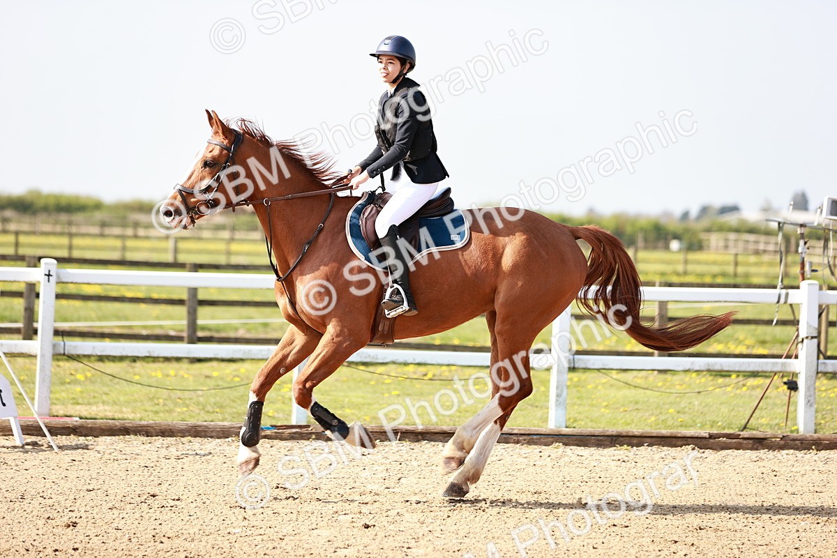  - Class 21 - Senior British Novice - 90cm