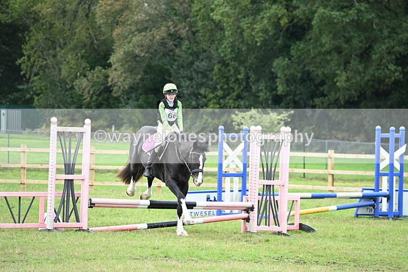 WJ6_1834 - 60cm Time 12:11 to 12:28