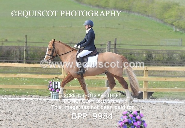 BPP_9984 - MY QUEST NOVICE 2