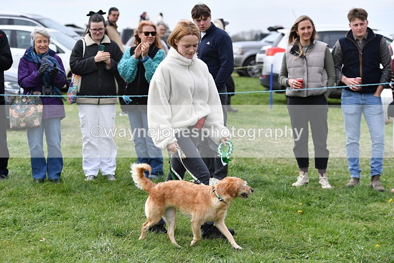 WJ5_9430 - Class 1 Best Cross Breed / Heniz 57