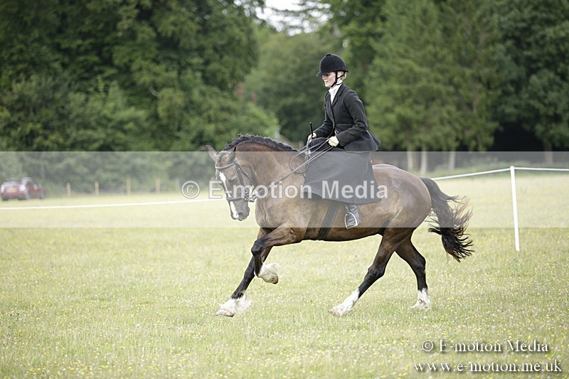 BVR160717-1945 - Side Saddle Classes 16/07/17