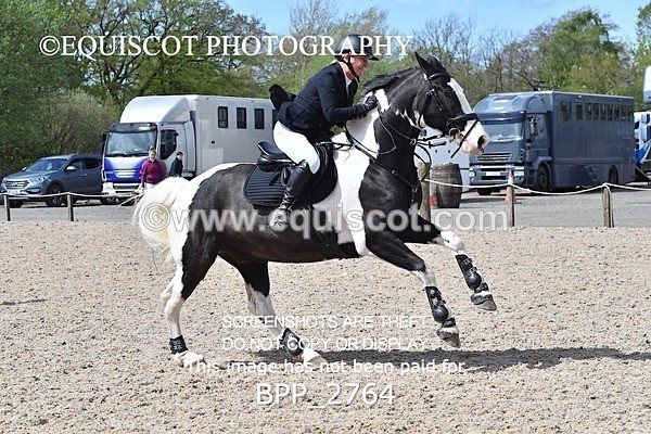 BPP_2764 - FRI CLASS 4 95CM AM CHAMP QUAL