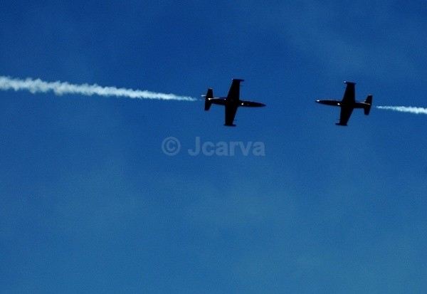 Head On! - Red Bull Air Race I