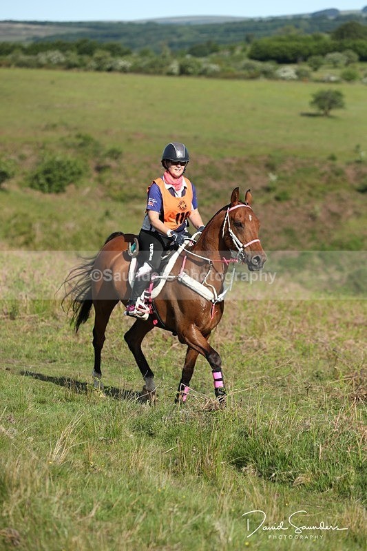 SPXX0848 - 111