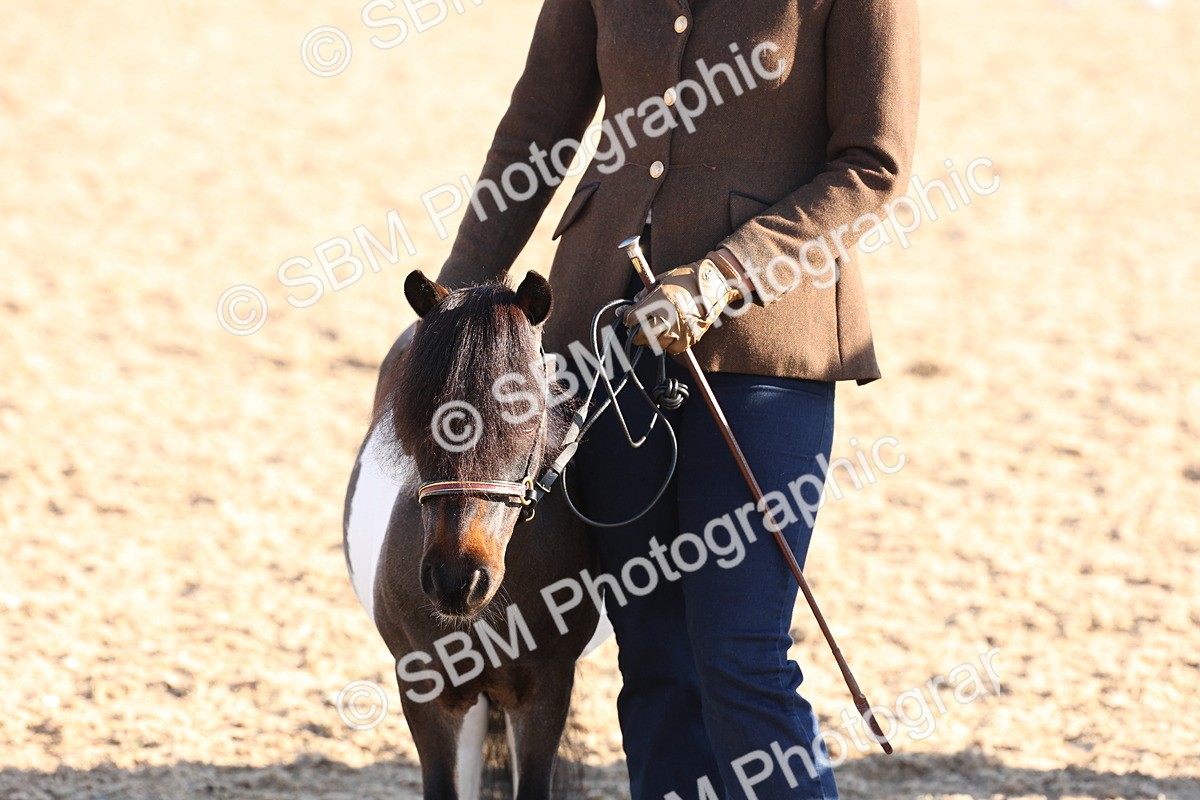 SBM_10795 - Class 201 - Best Turned Out - IH