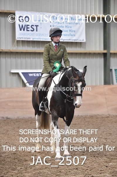 JAC_2507 - CLASS 3 Intermediate Working Hunter