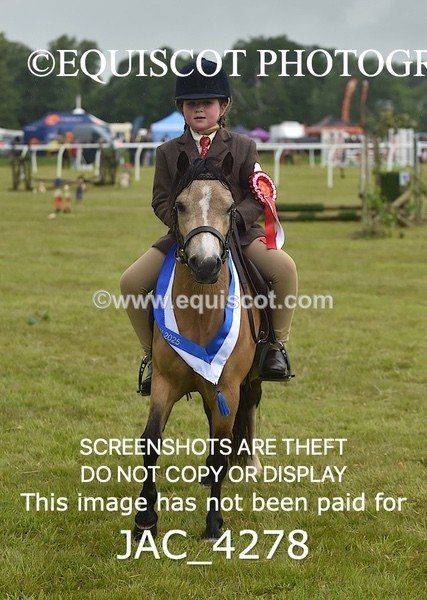 JAC_4278 - WORKING HUNTER CHAMPIONSHIP