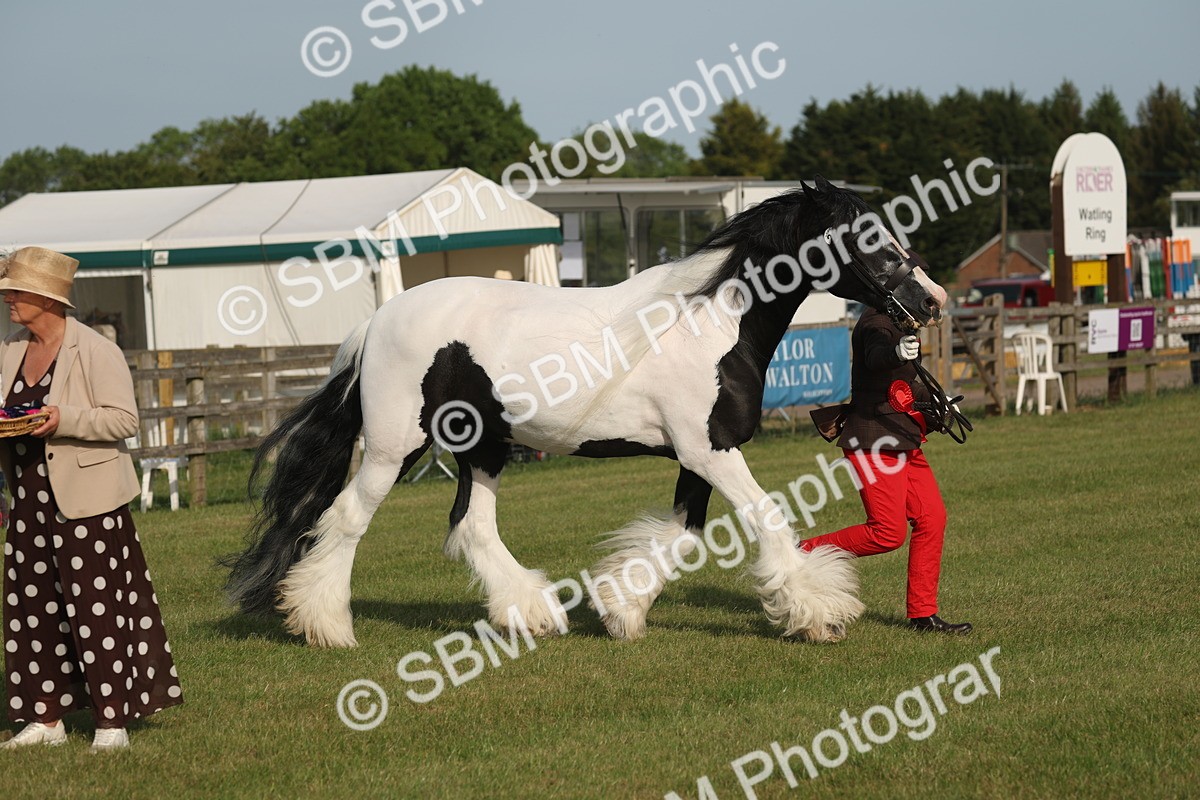 SBM_10566 - Class 33-38 - SSADL RIHS Qualifiers