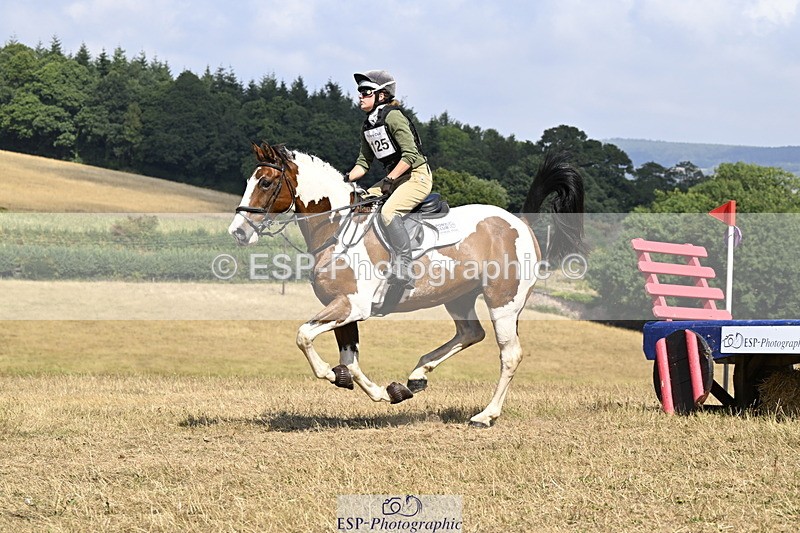 250824A-144023-38057 - 2125-Hen.Jeanes-Painted.proper