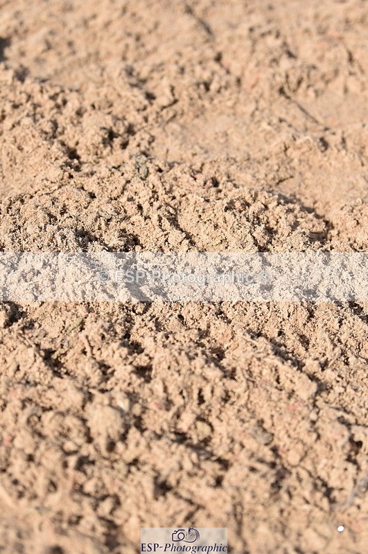 231015A-122144-07962 - Cls 24 85cm Amateur Q