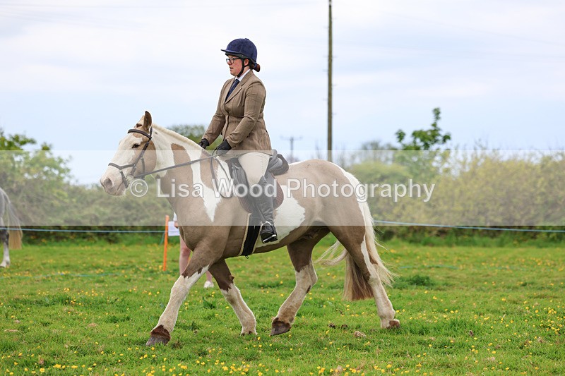 3E7A1006 - Class 6: Ridden Coloured