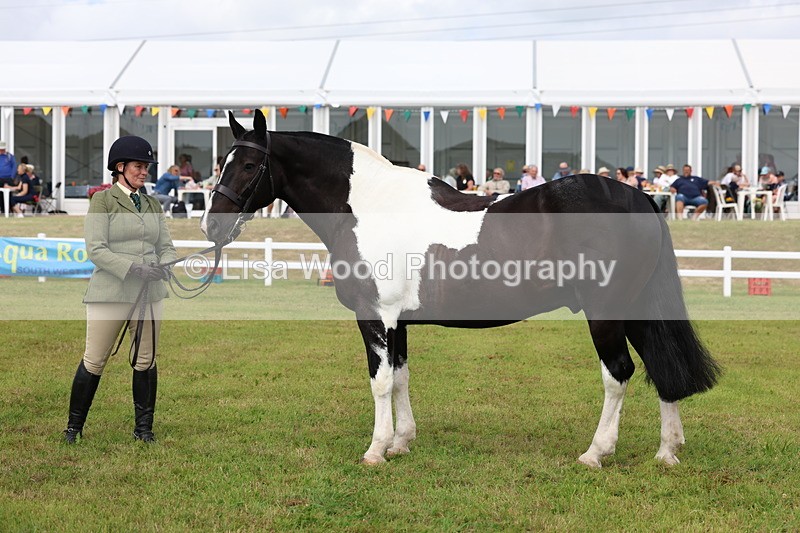 3E7A0390 - Class 6: Rising Star Maxi Cobs