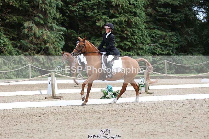 250718A-145241-02304 - 107-Beatrice.Coker-Brown-Portia.the.Fawn