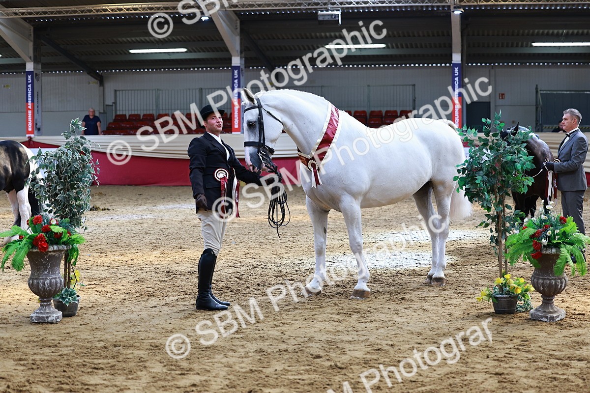 SBM_23294 - Class 903 - Supreme Final - IH Pre Vet