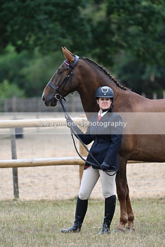 WJ7_9815 - Class 5a Most Handsome Gelding (above 14.2hh)