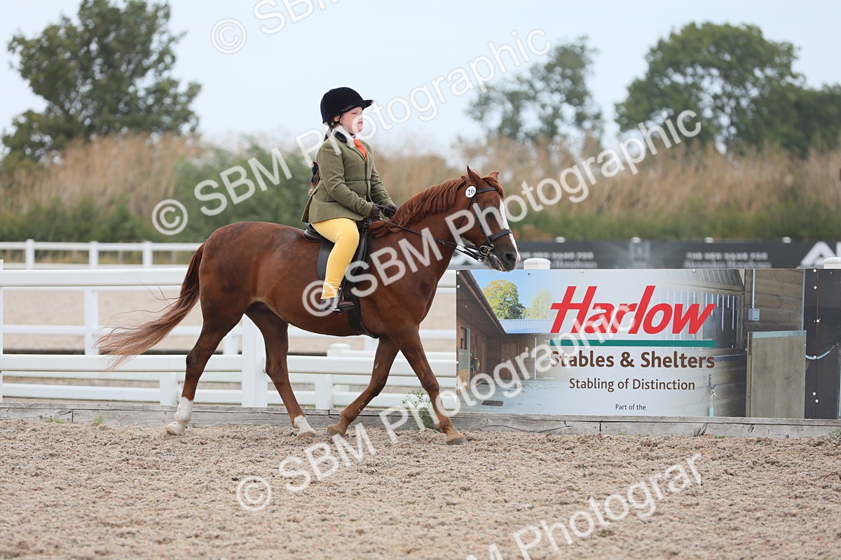 SBM_18039 - Class 316 Best Pony/Rider Combination