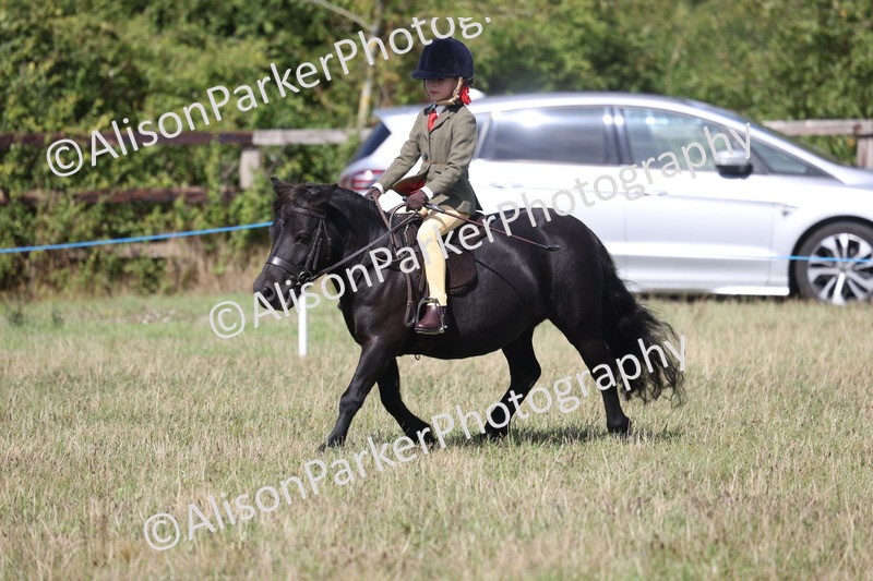 20260906-3073 - Class 18 - Childs First Pony