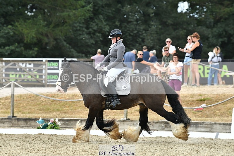 260801A-121852-03886 - Prelim SIlver Break - End