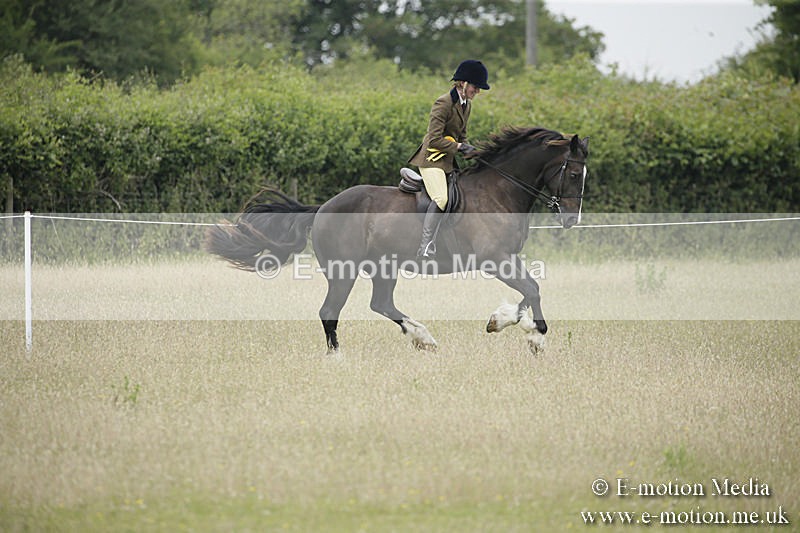 B230619-0547 - Bourne Valley Riding Club Summer Show 23/06/19