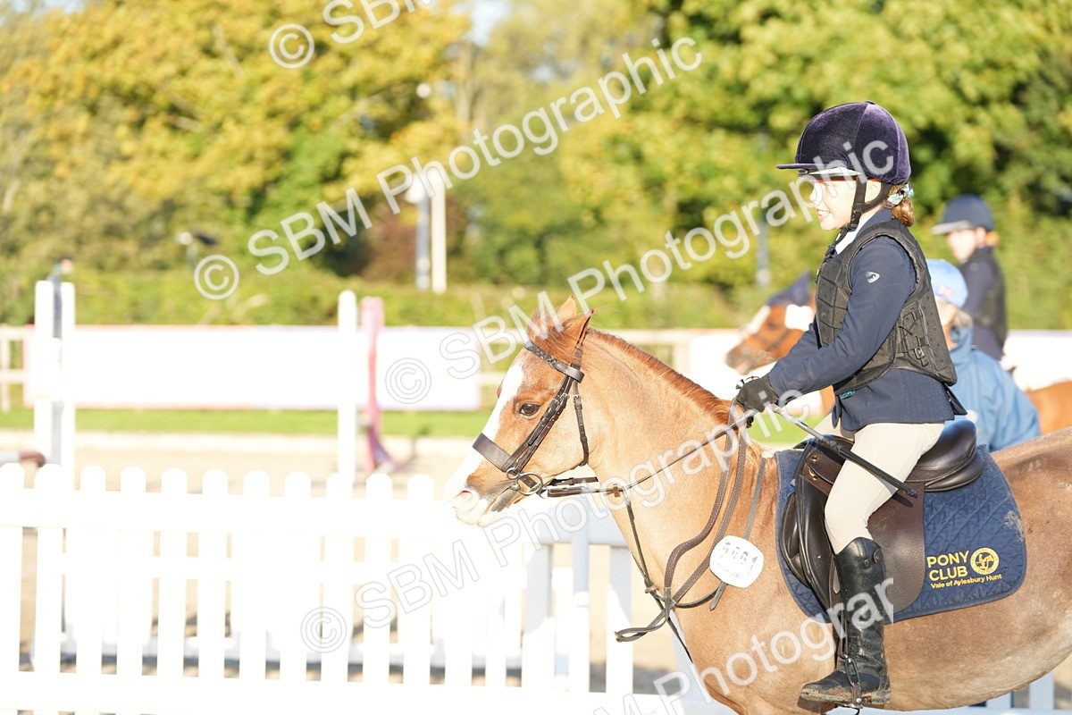 SBM_54084 - Supreme Championship 60cm 65cm