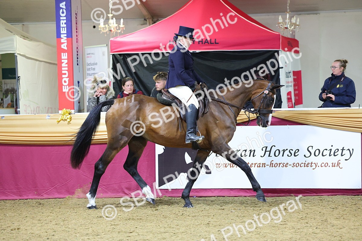 0B8A4597 - Class Q Style & Performance Champ