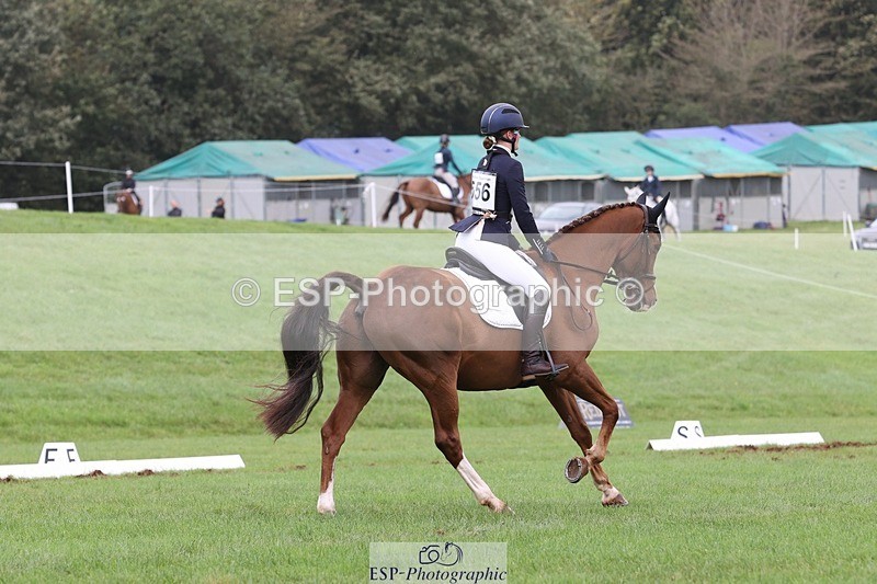 231019-153809-04963 - 556-SHANNONDALE.MOCHA-Lucy.Davies-DR