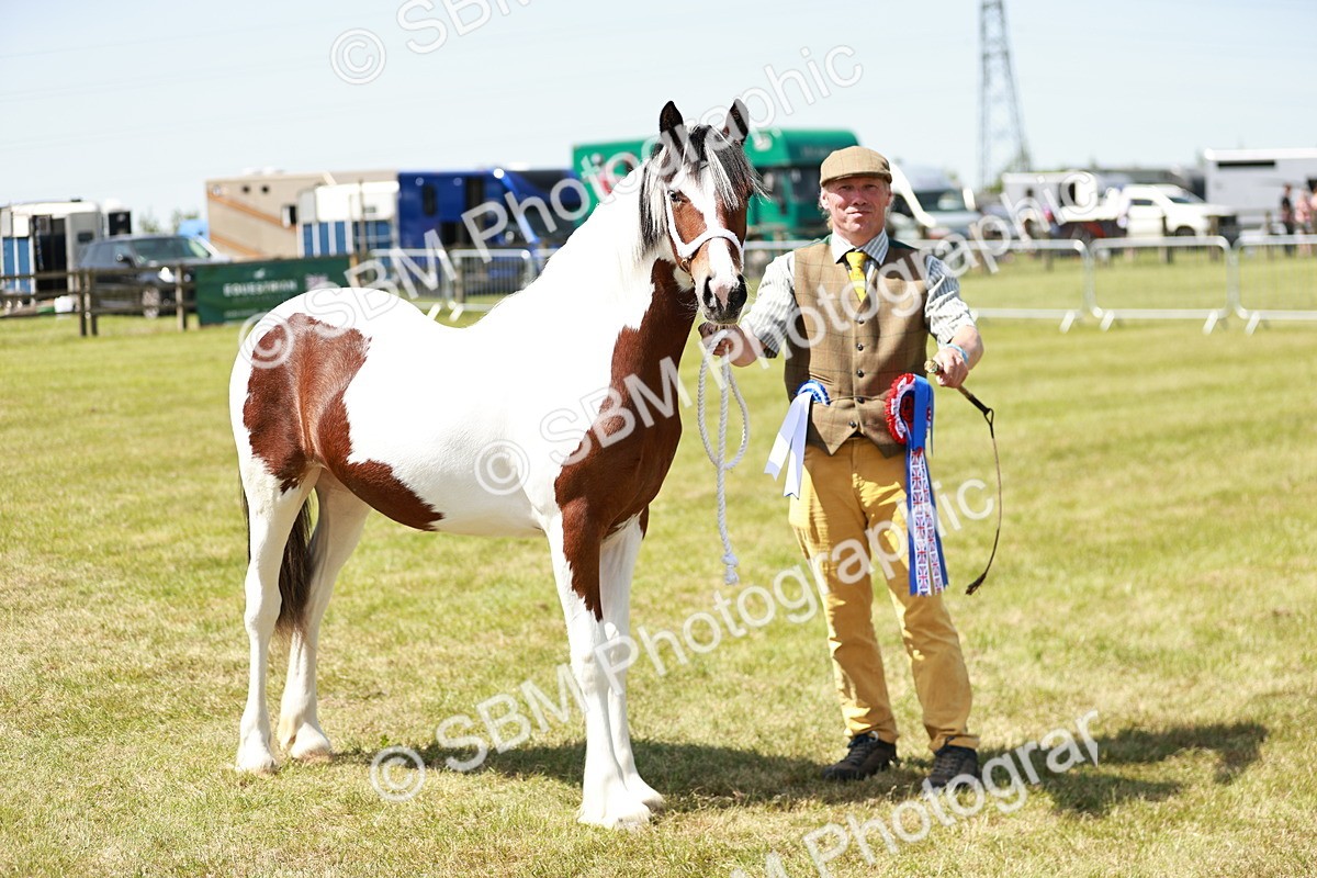 SBM_05533 - Class 41-45 - Riding Pony-Hunter Pony Breeding