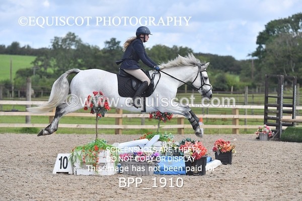 BPP_1910 - DERBY CLASS 5 - 60CM