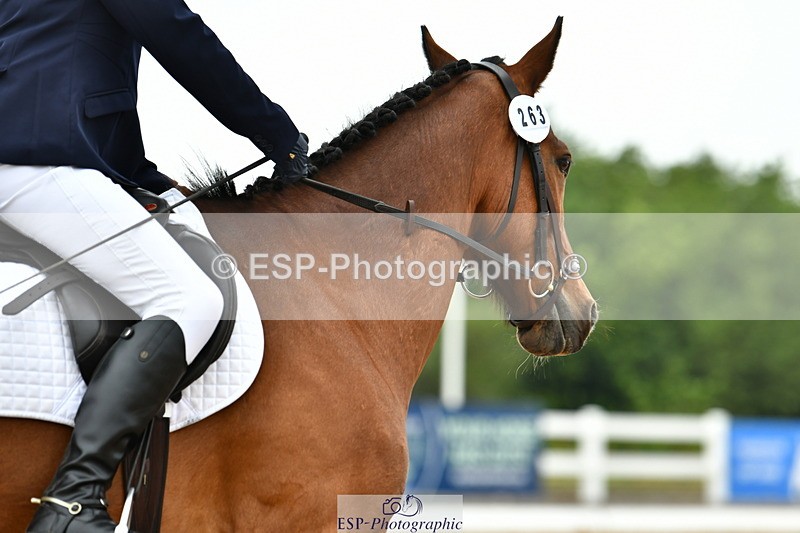 230708A-112610-02568 - Prelim 13