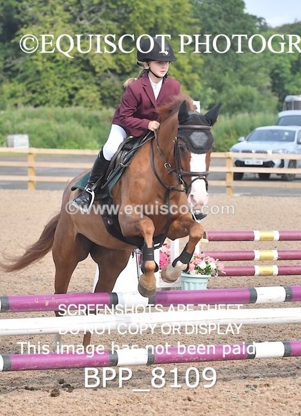 BPP_8109 - CLASS 11 SUN  Club/ Unaffiliated 60cms Open