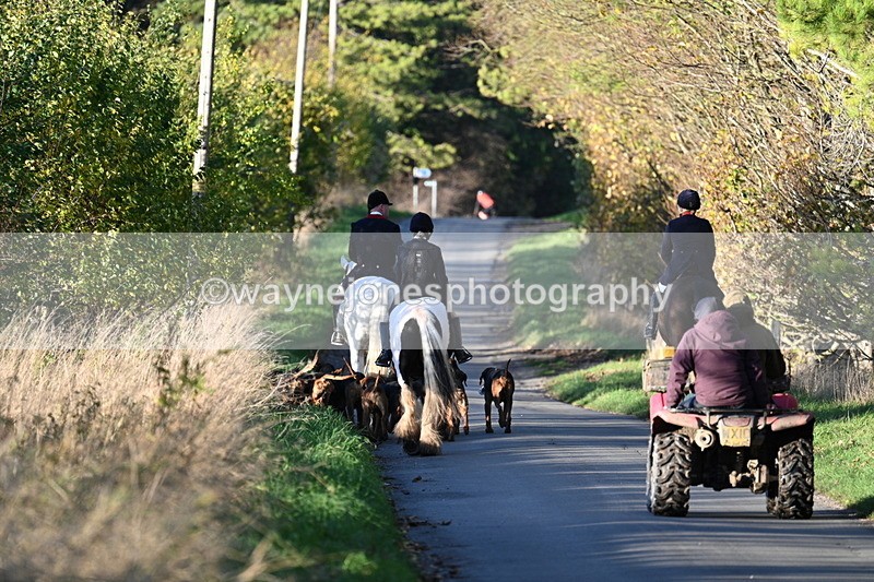 WJ7_8670 - Walk Home