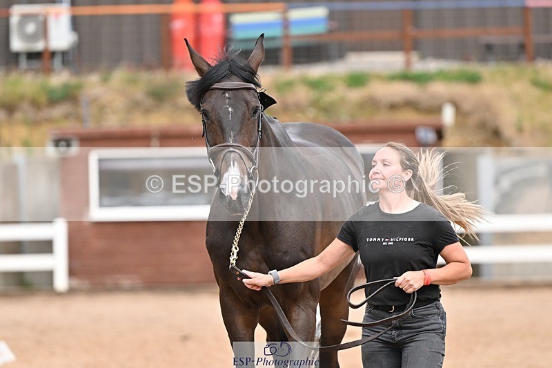250716-162241-02601 - Trot Up 3.30 to 4.30