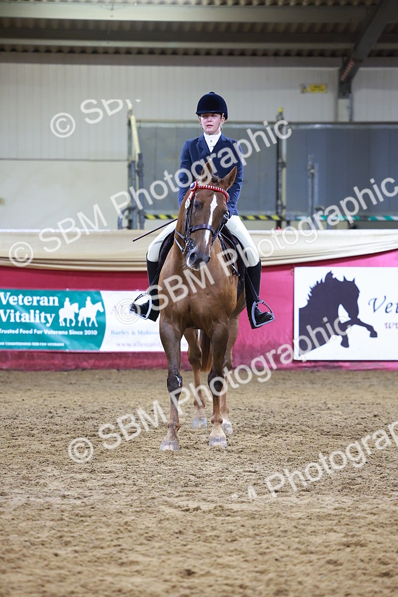 SBM_15414 - Class Q - Ridden Horse Champ