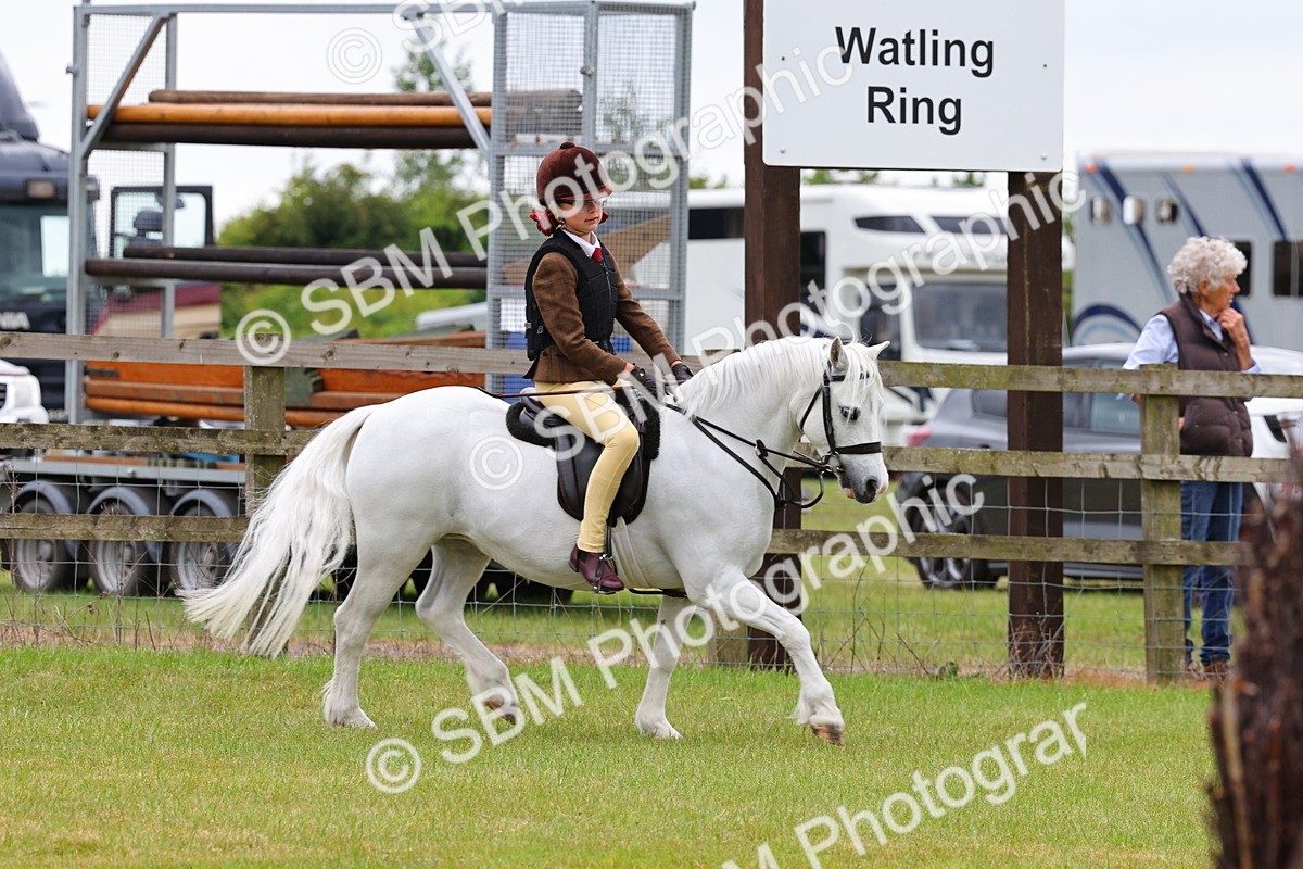 SBM_08717 - Class 42-43 - LIHS BSPS Heritage Working Sports Pony